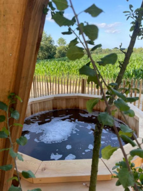 La Cabane Féerique - Les Pieds dans le Pré